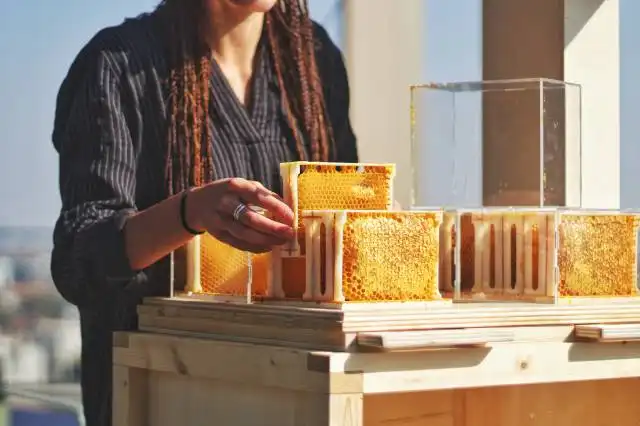 man in brown and black plaid dress shirt holding yellow and white cake