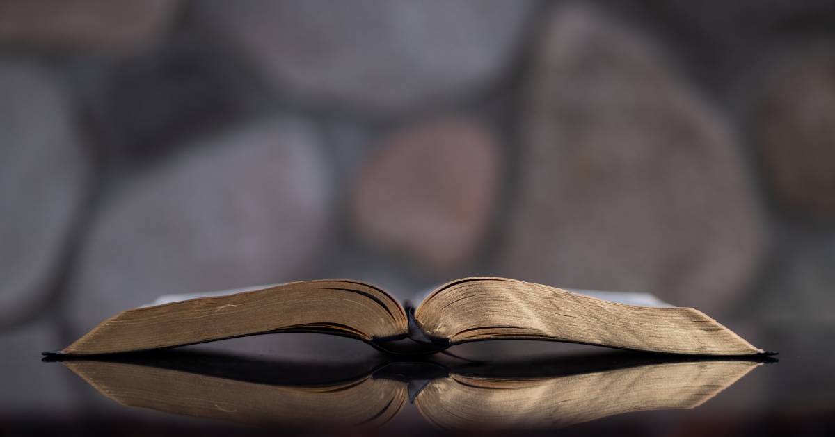 How to Start a Bookbinding Business | Business.How