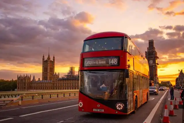 red and yellow bus on road during daytime