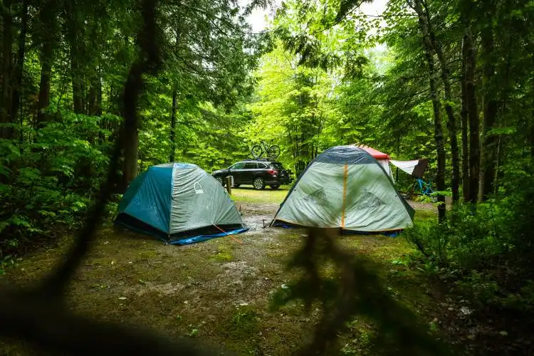 two dome tents surrounded by trees