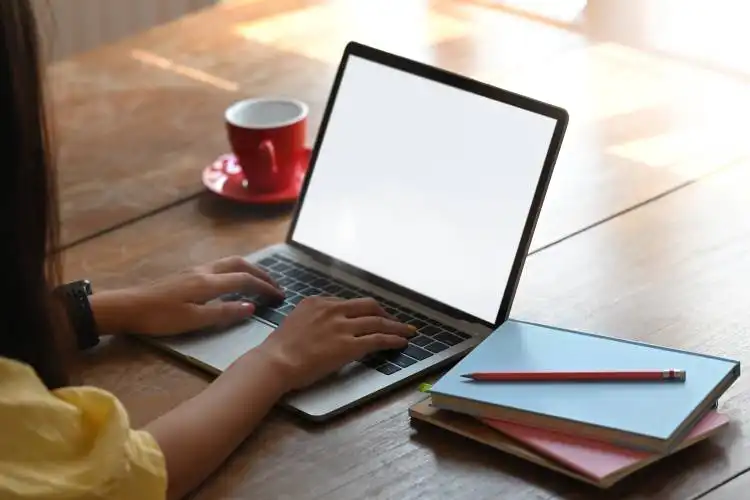 Behind shot of beautiful woman working as accountant while sitting and working with white blank screen computer laptop at the