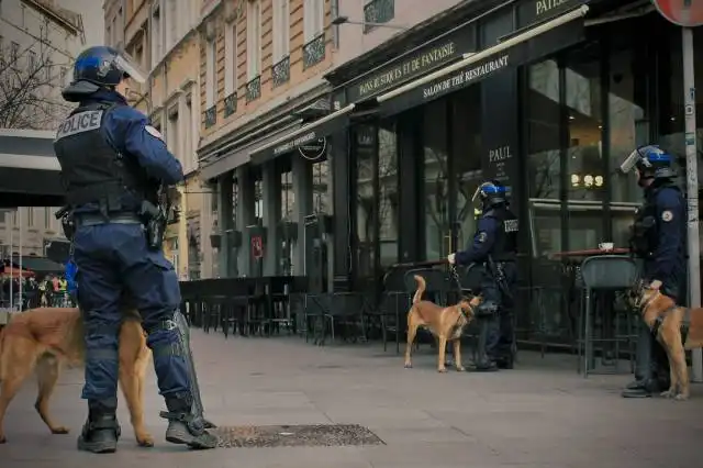 man in blue jacket walking with brown short coated dog on street during daytime
