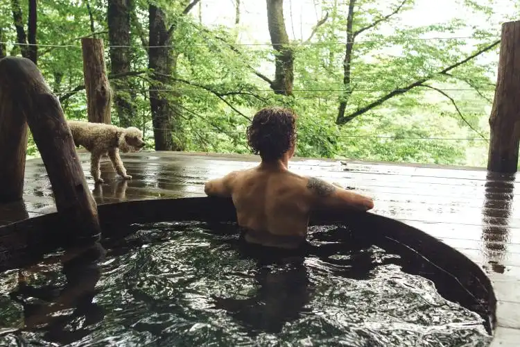 relaxed young holidaymaker is taking pleasure in bathing and wonderful scenery. back view photo.rest from work and household