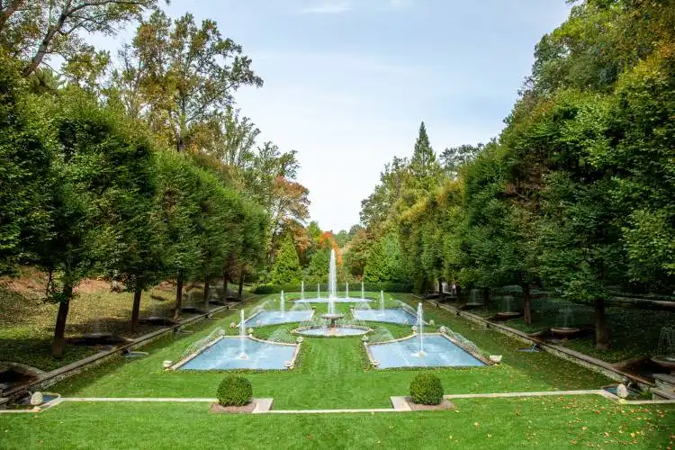 green grass field with fountain in the middle of the forest