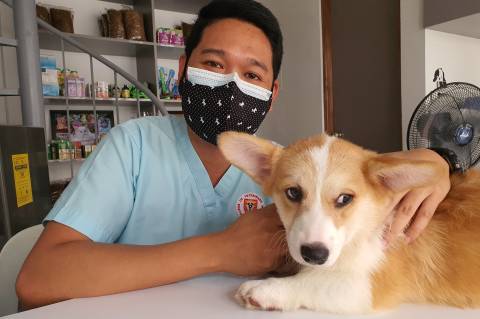 a man wearing a face mask sitting next to a dog