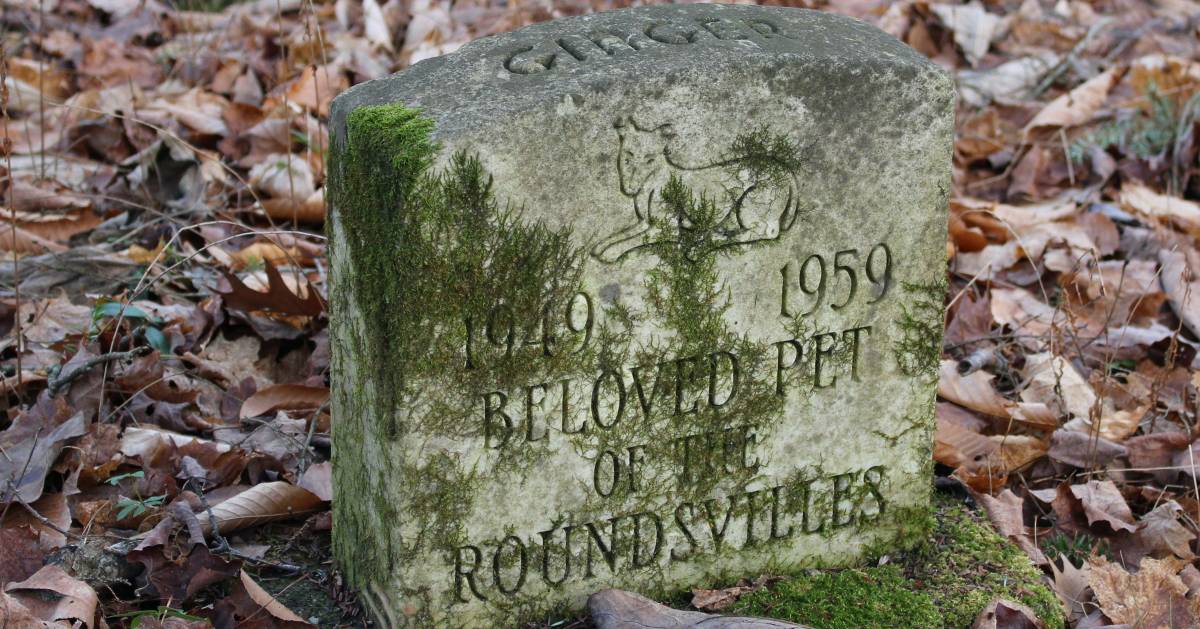 How to Start a Pet Cemetery Business