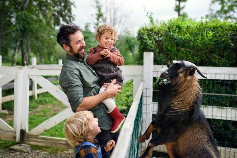 Portrait of father with happy small children standing on farm, feeding goat.