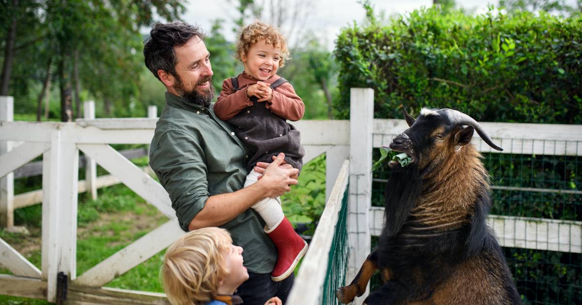 How to Start a Petting Zoo