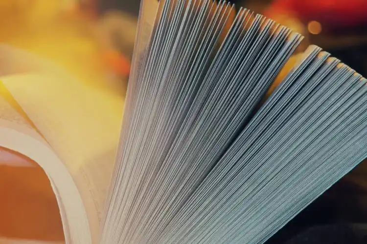 close-up photography of book page opening