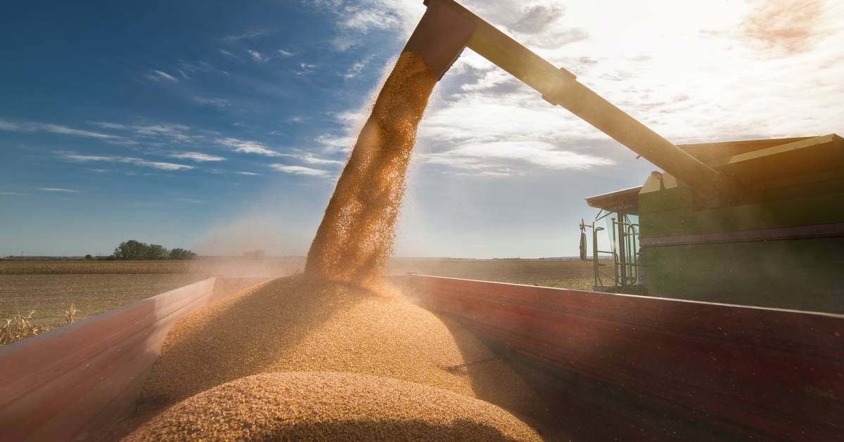 How to Start a Sandblasting Business