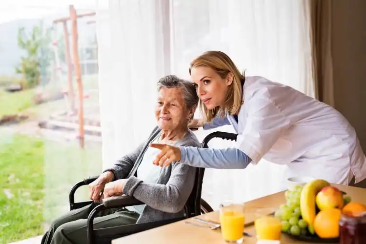 Health visitor and a senior woman during home visit. A nurse talking to an elderly woman in an wheelchair.